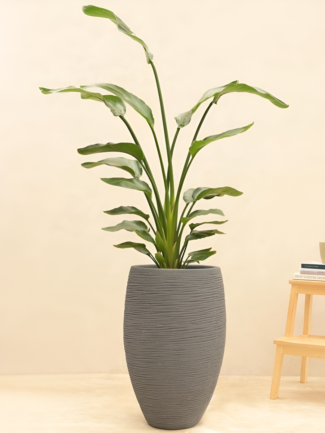 

UGAOO Grey Textured Small Planter
