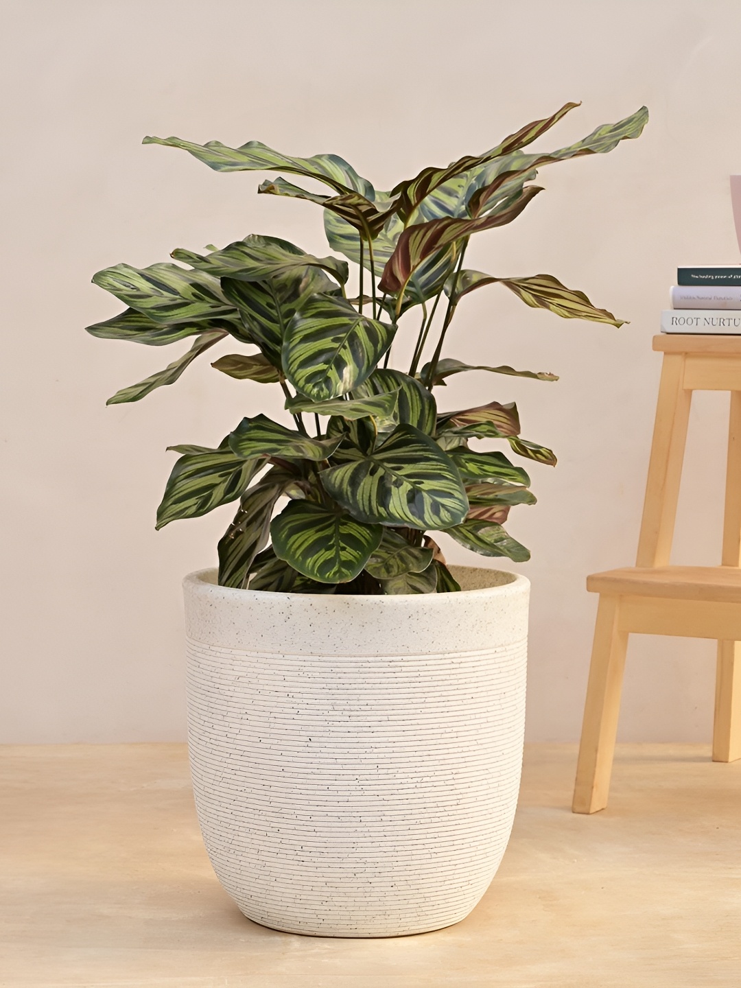 

UGAOO White Textured Small Planter