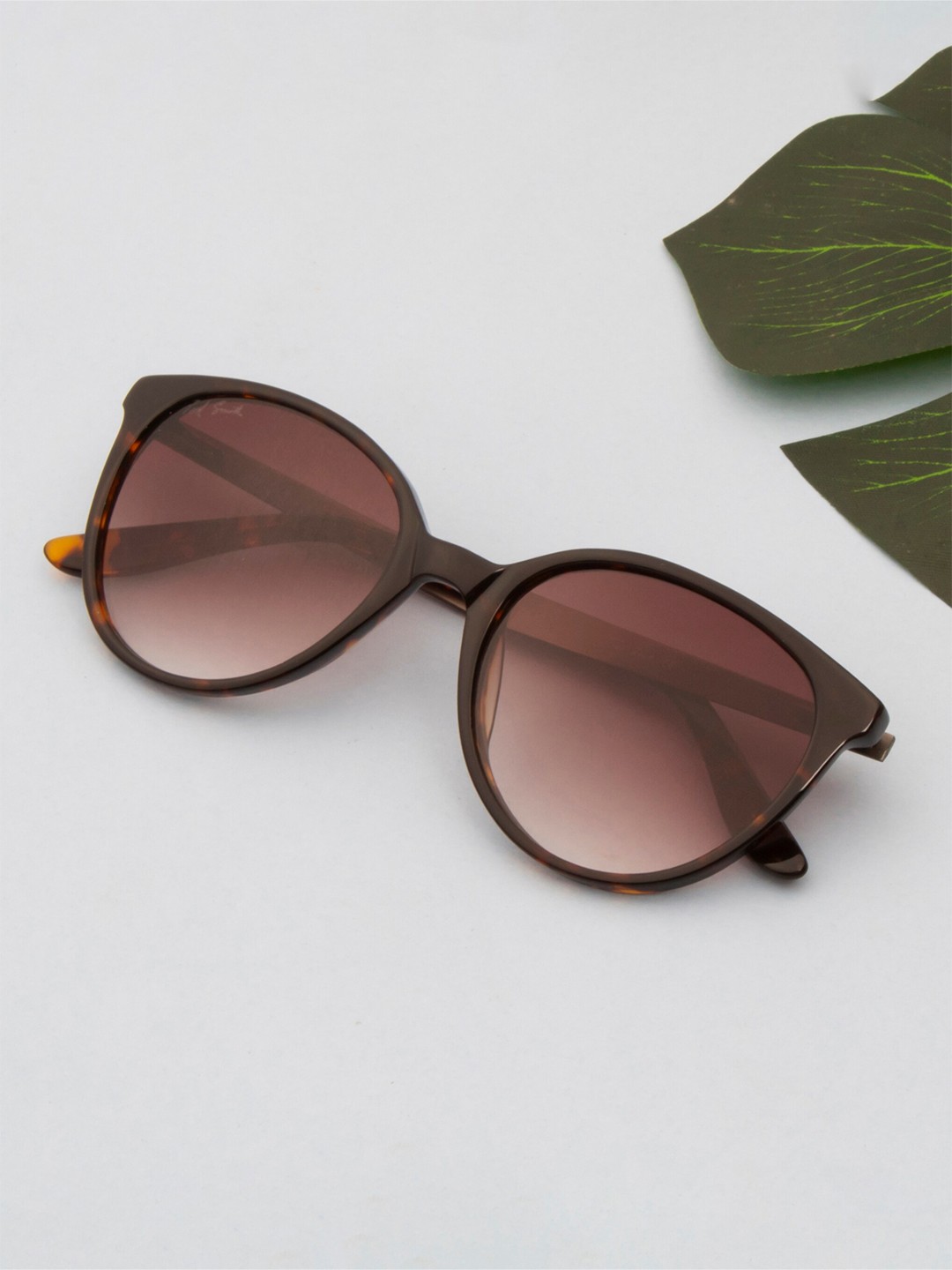 

Ted Smith Women Cateye Sunglasses with Polarised Lens SPAZE_DEMI-BRN-BROWN