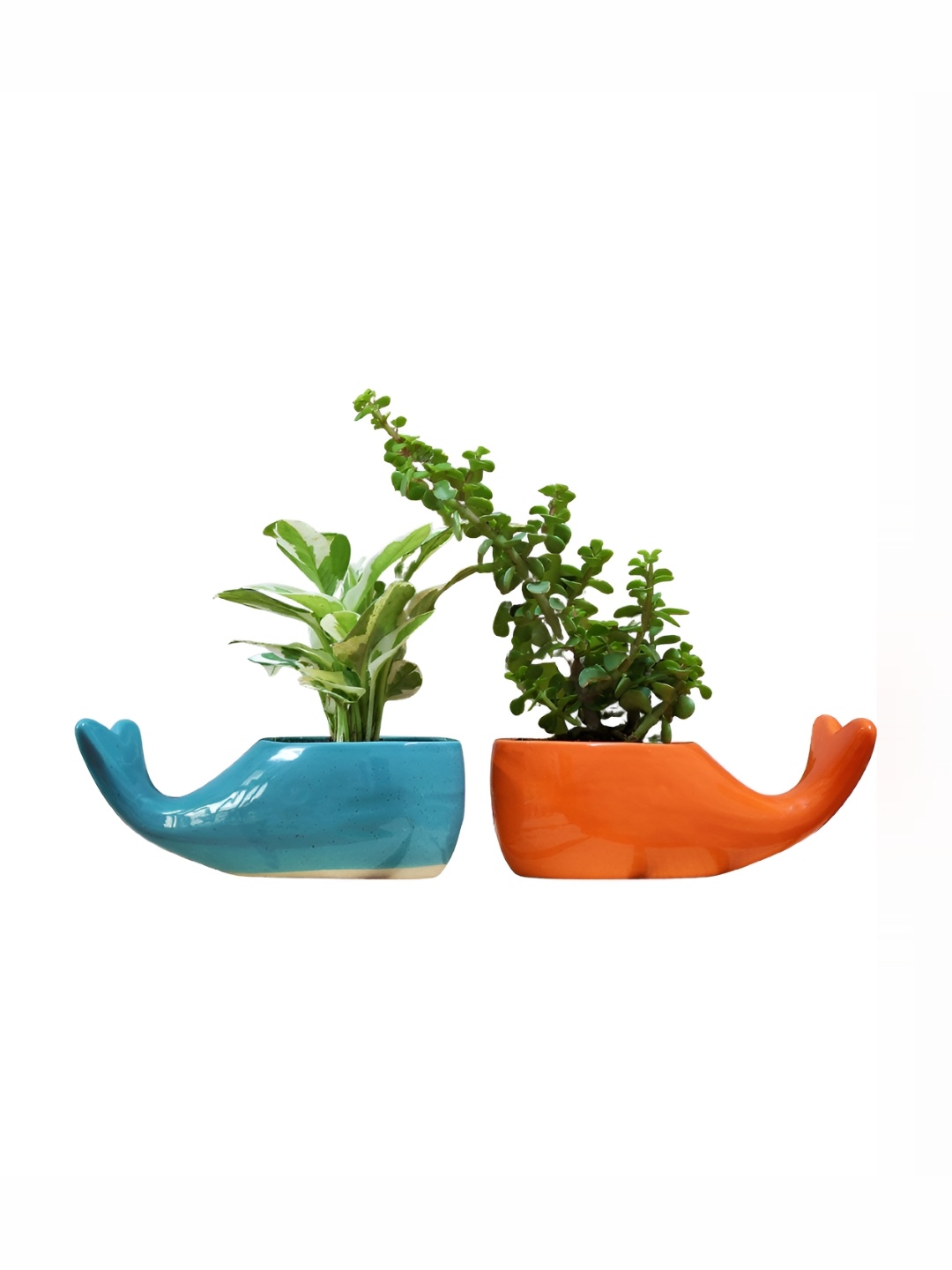 

Leafy Tales Blue & Orange 2 Pieces Dolphin Shaped Ceramic Planters