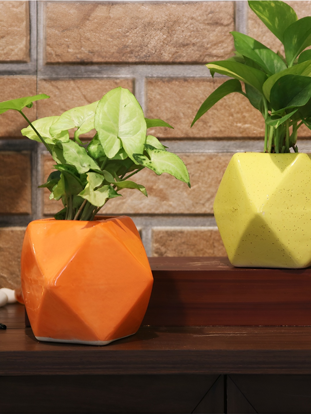 

Leafy Tales Otang & Yellow Geometric Shape Ceramic Planters