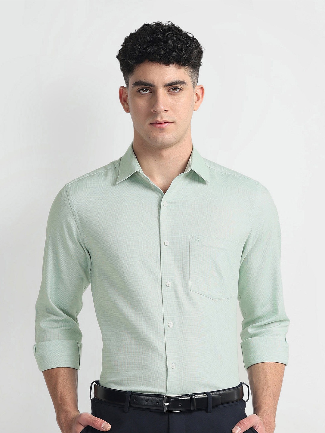 

Arrow Self Design Cotton Spread Collar Curved Formal Shirt, Green