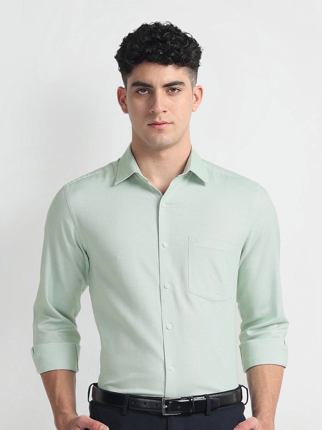 

Arrow Self Design Cotton Spread Collar Curved Formal Shirt, Green