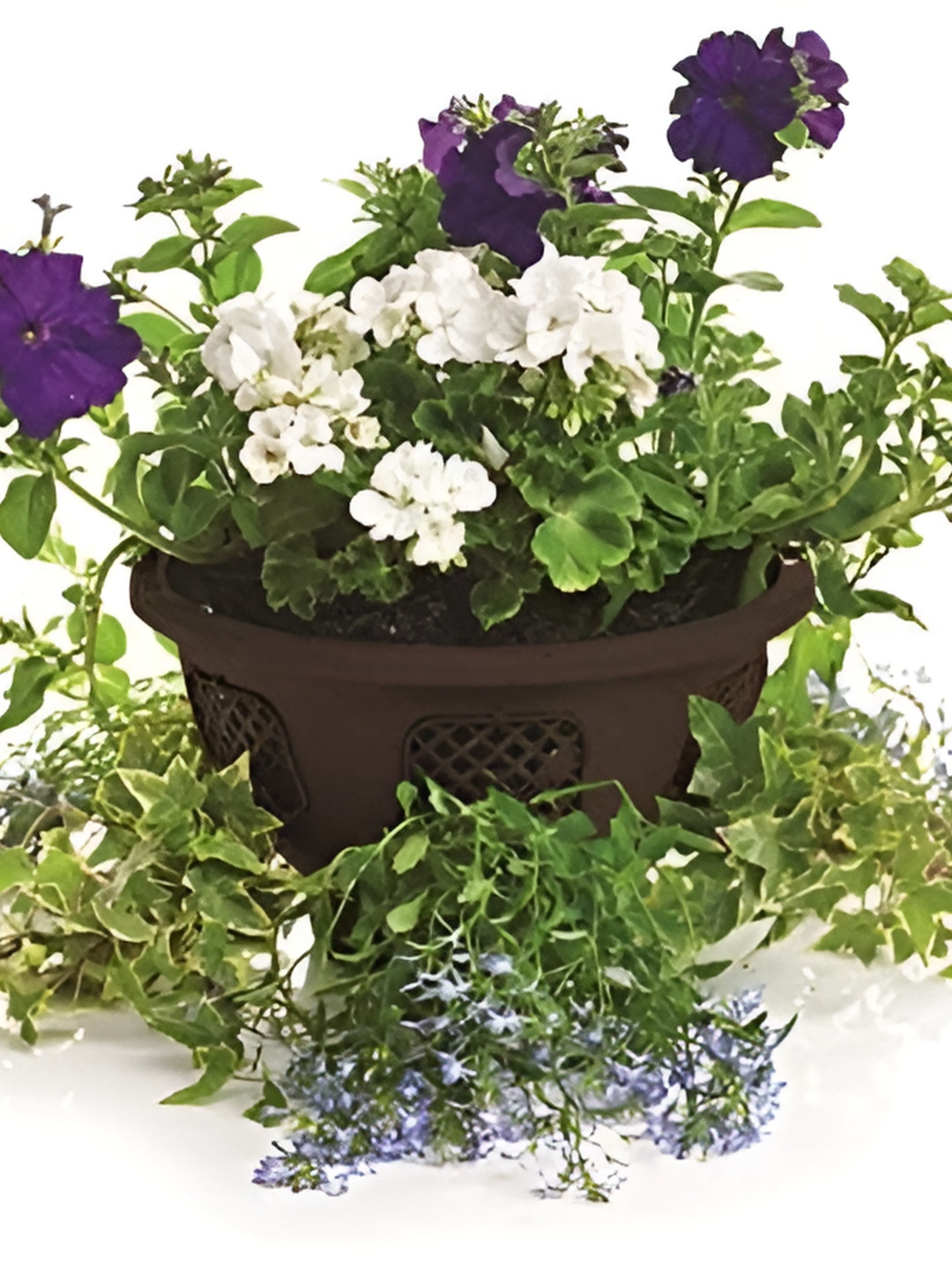 

Garden Deco Black 2 Pieces Easy Bloom Hanging Basket With Chain Planter