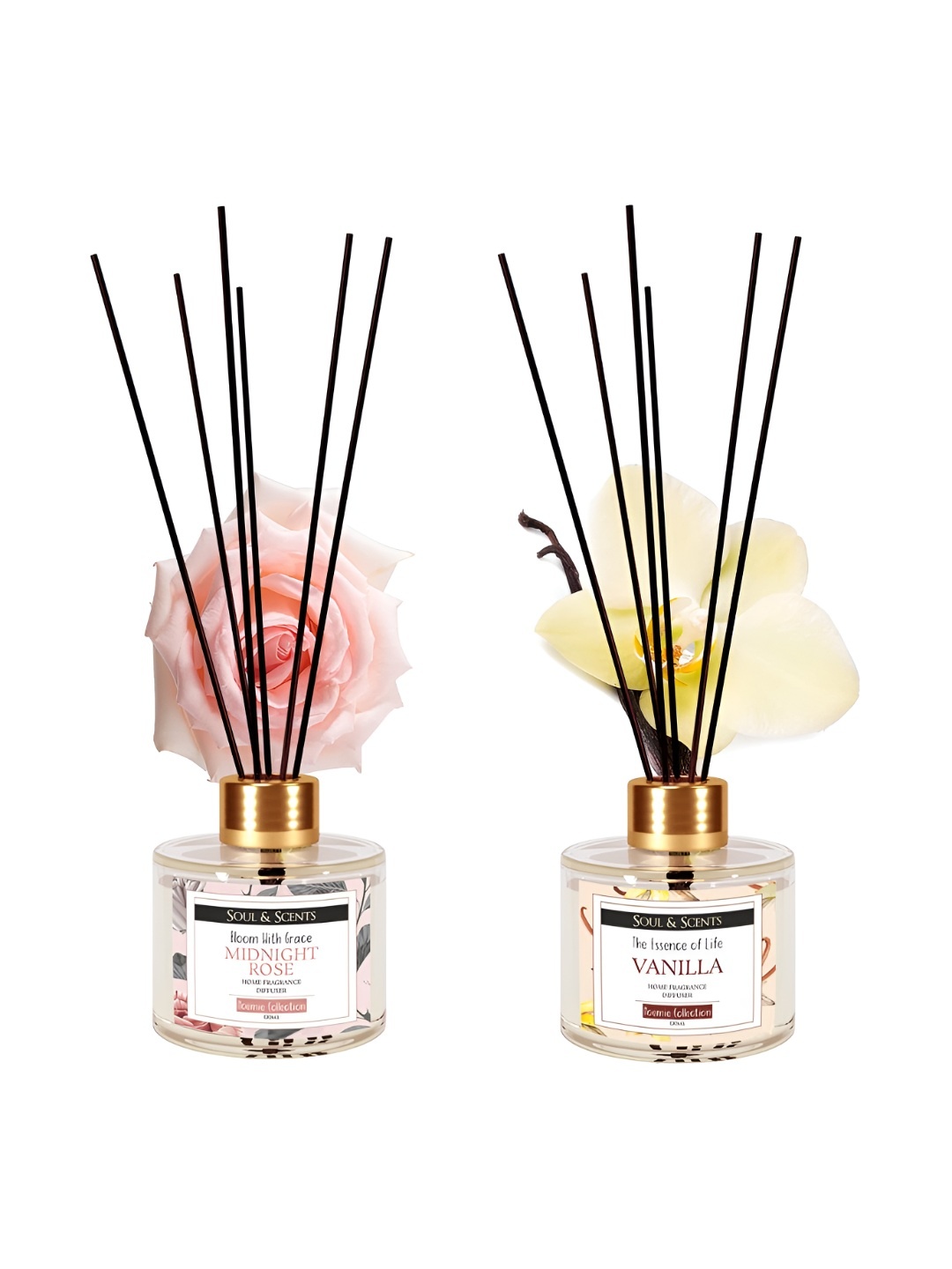 

SOUL & SCENTS Vanilla and Midnight Rose Reed Diffuser Combo Pack of 2-120ml Each, Transparent