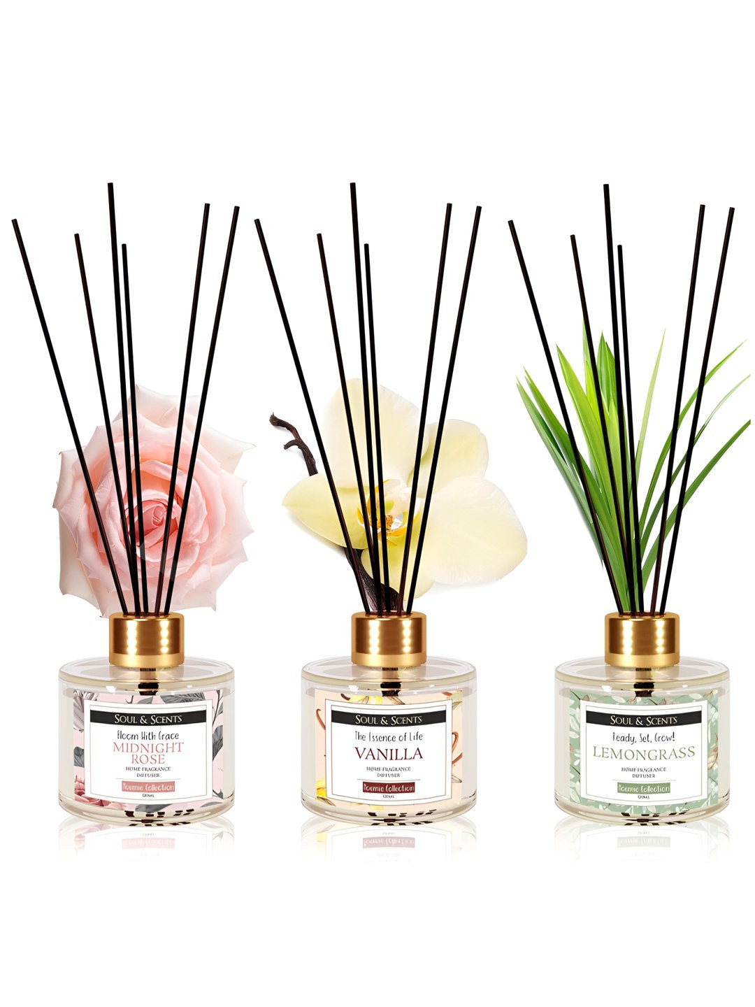 

SOUL & SCENTS Midnight Rose, Vanilla and Lemongrass Reed Diffuser Set Combo Pack of 3-120ml Each, Transparent