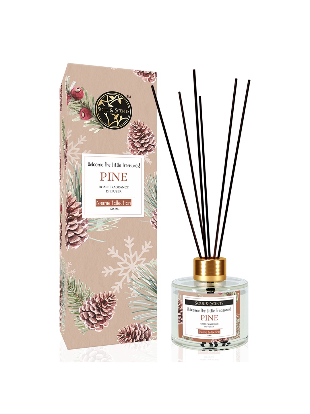 

SOUL & SCENTS Pine Fragrance Reed Diffuser With 6 Pieces Reed Sticks 120 ml, Transparent