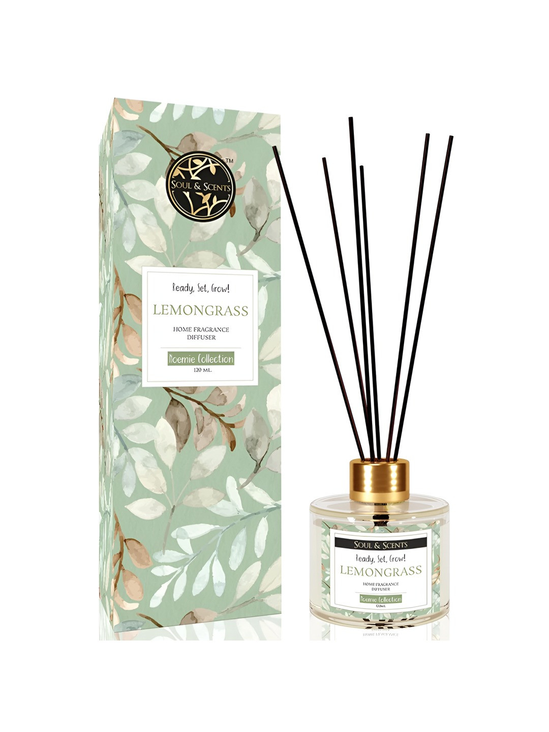 

SOUL & SCENTS Transparent & Black 7 Pcs Lemongrass Fragrance With Reed Sticks