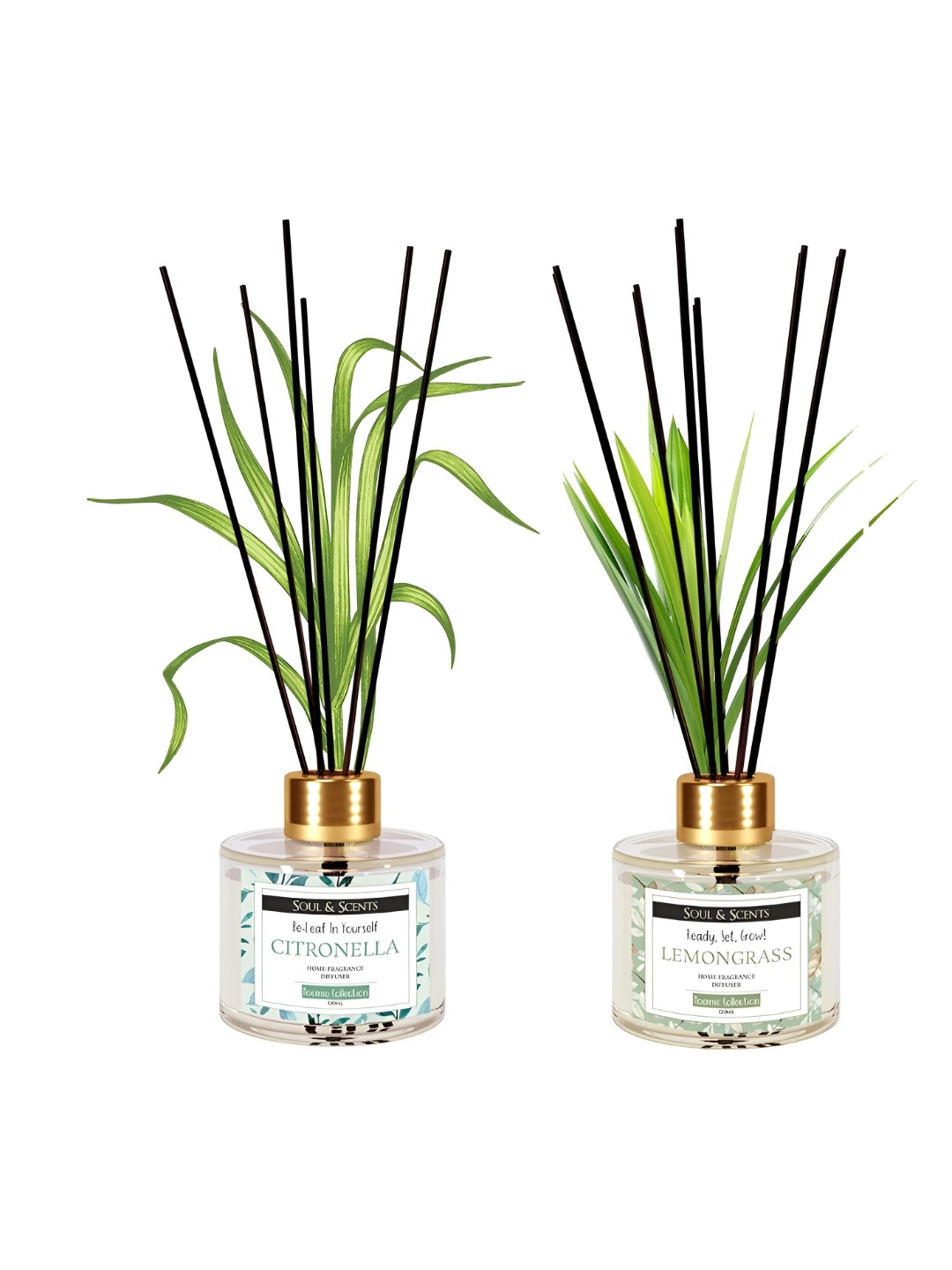 

SOUL & SCENTS Citronella And Lemongrass Reed Diffuser Set (Combo Pack Of 2) -120ml Each, Transparent