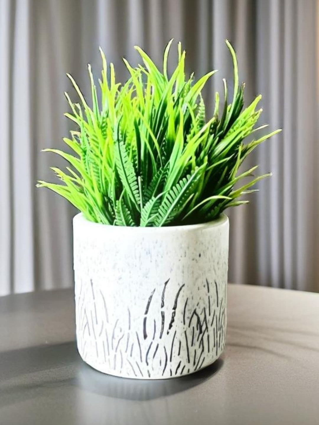 

Akaar White Ceramic Pot with Fern bunch