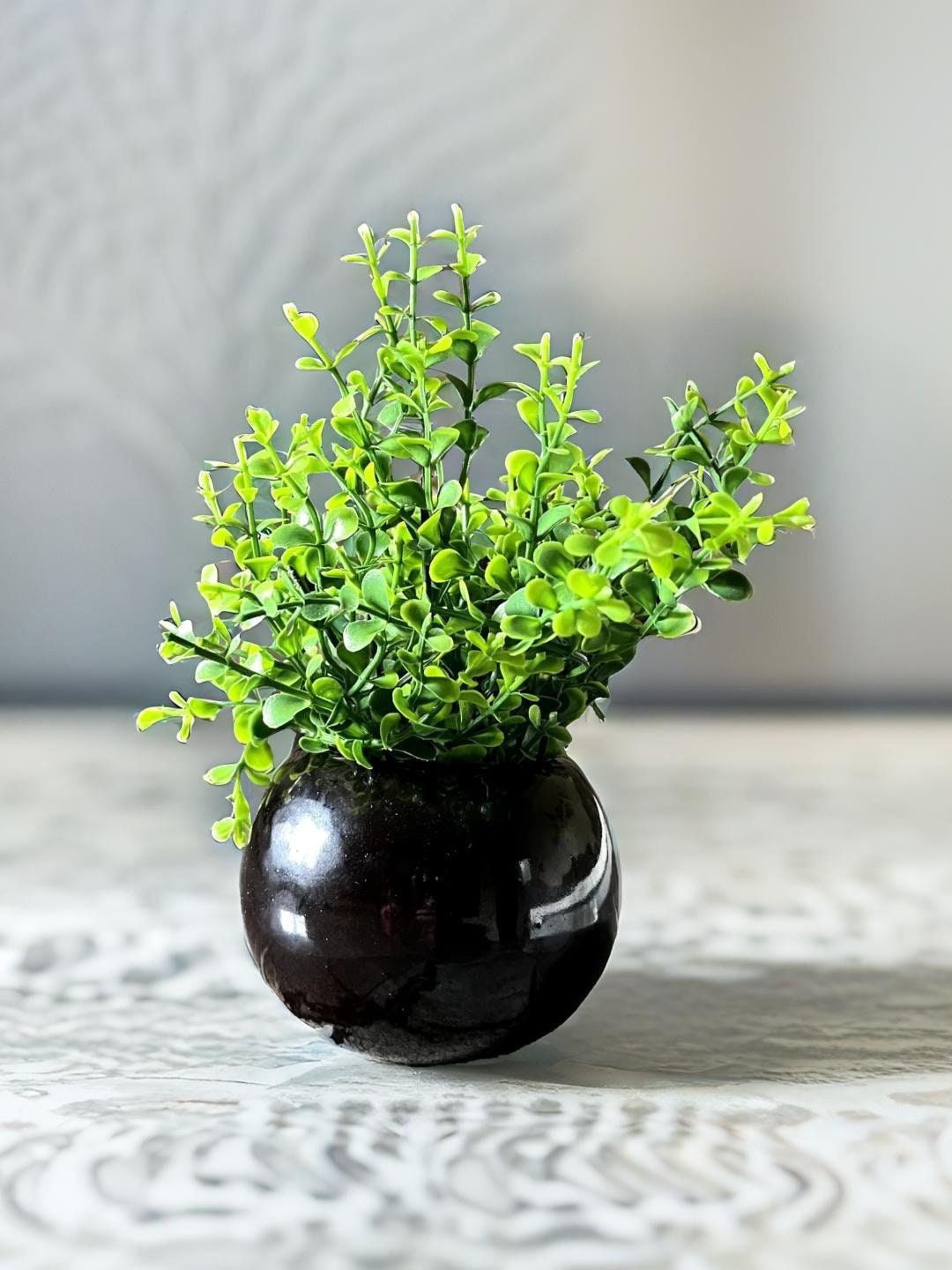 

Akaar Black Ceramic Pot with Jade bunch