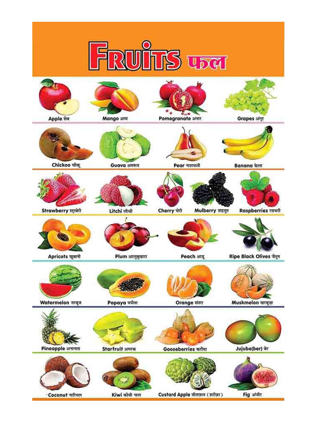 

British Terminal Green & White Fruits Wall Poster