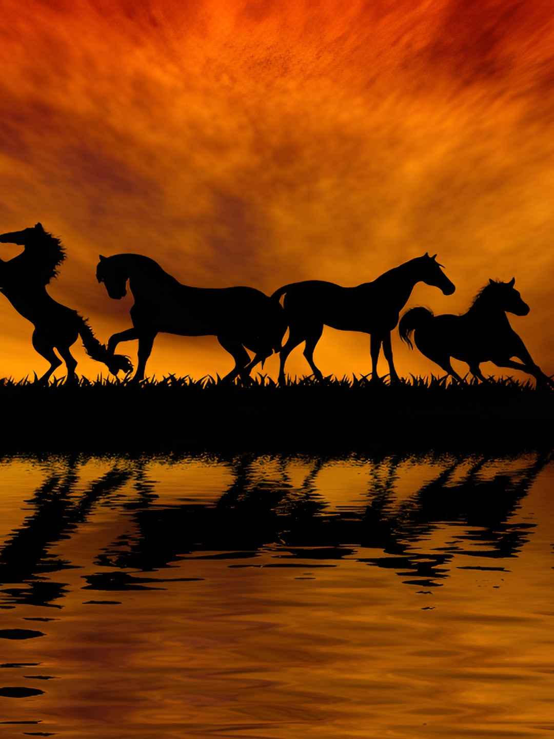 

British Terminal Red & Black Horses Wall Poster