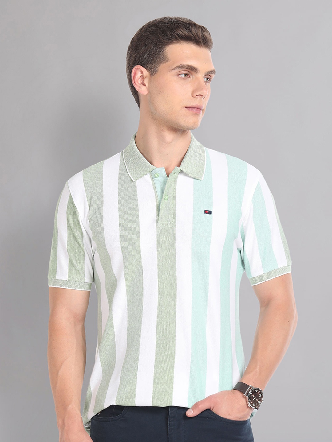 

AD By Arvind Striped Polo Collar Short Sleeves Cotton Slim Fit T-shirt, Green