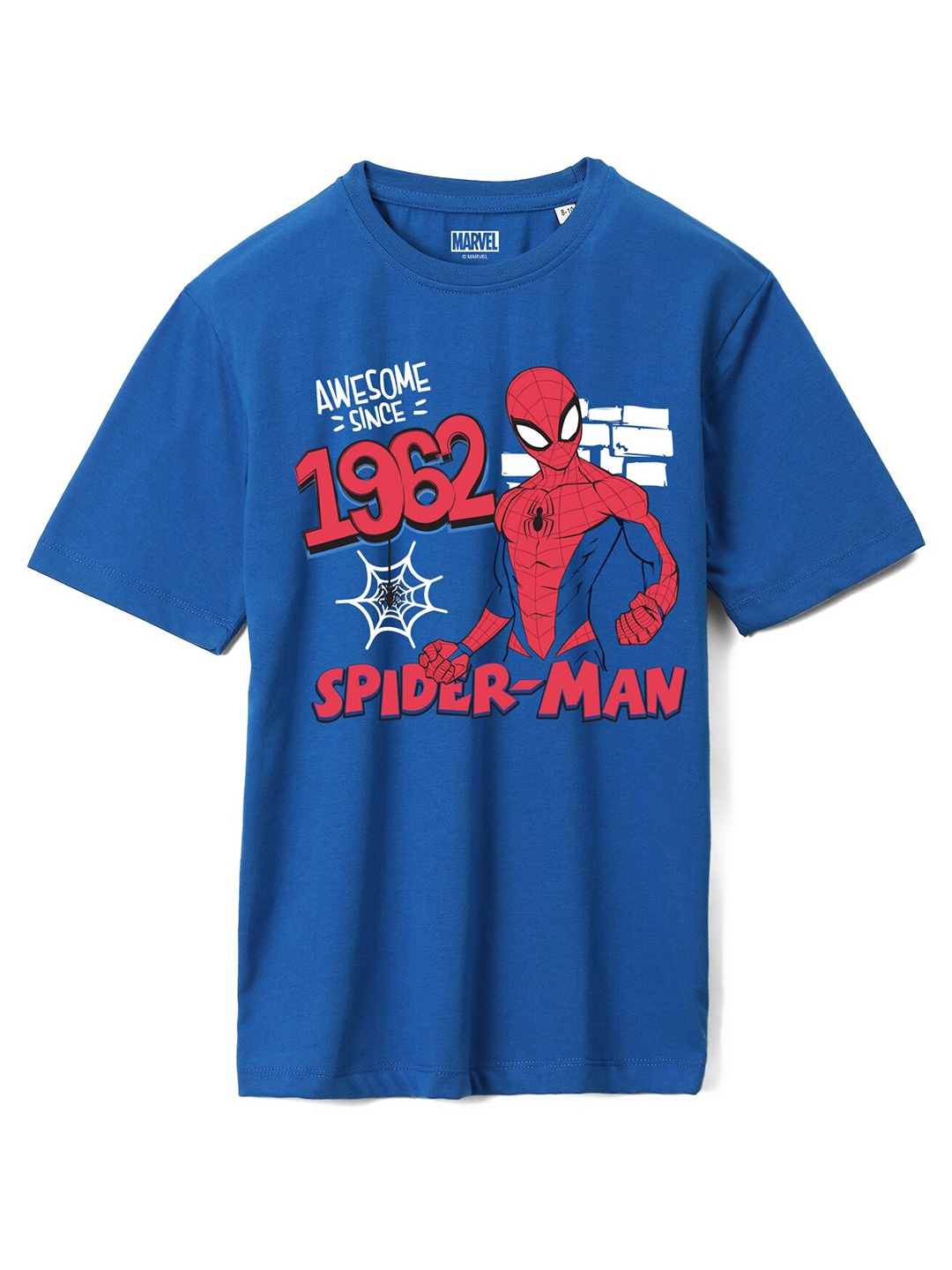 

Wear Your Mind Boys Spider-Man Printed Oversized Cotton T-shirt, Blue