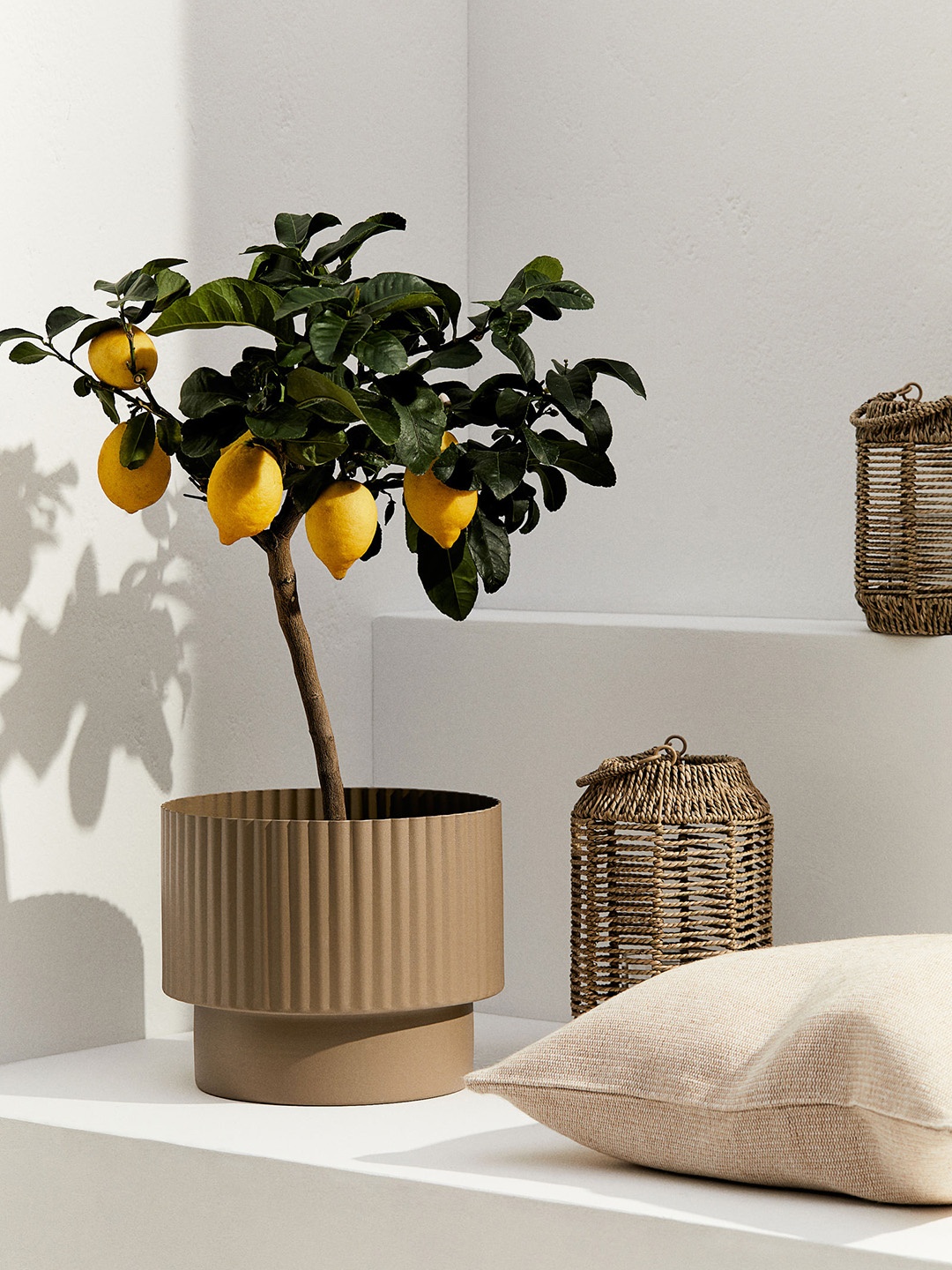 

H&M Black Large Plant Pot In Metal