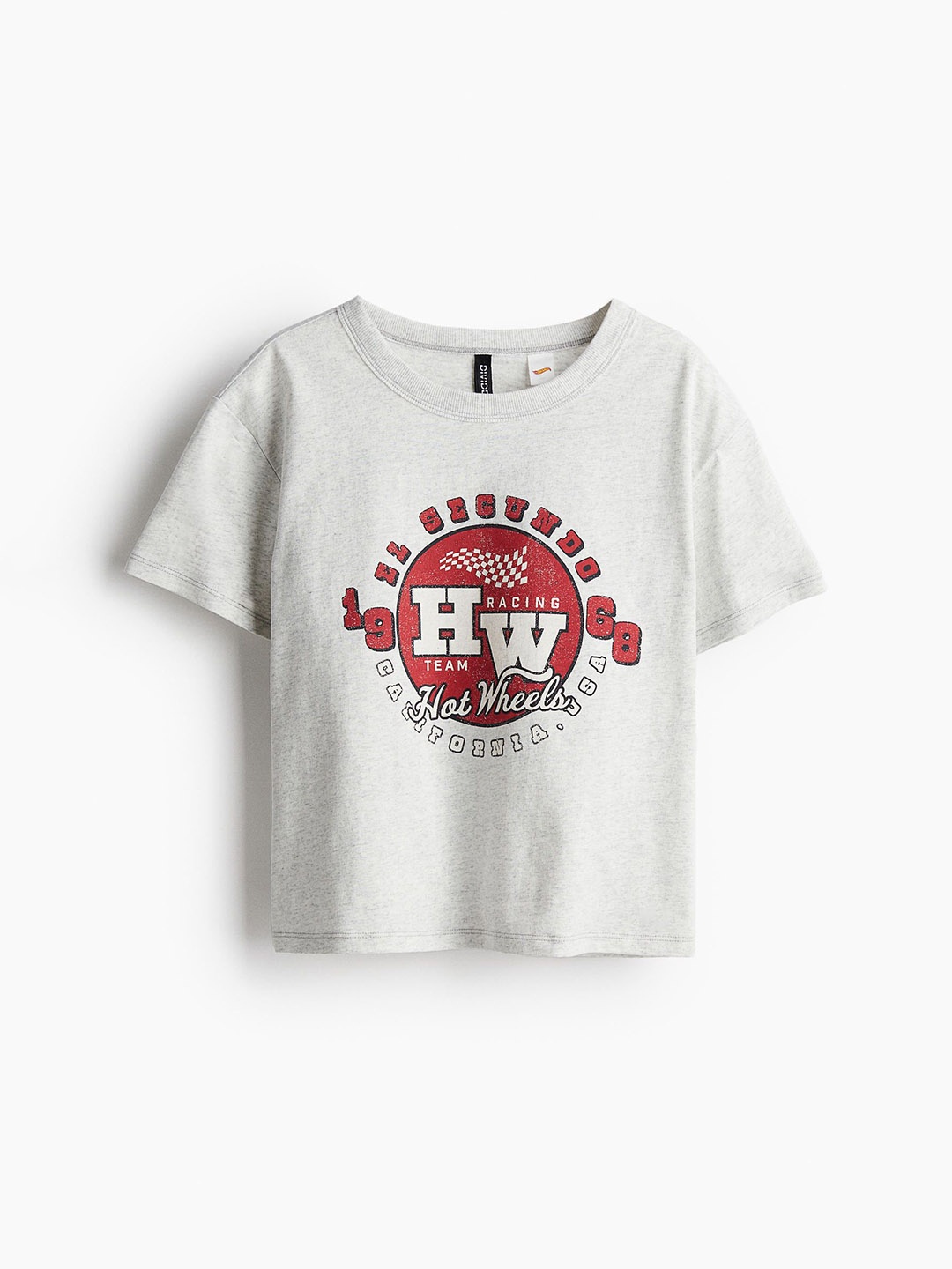 

H&M Pure Cotton Printed T-shirt, Grey