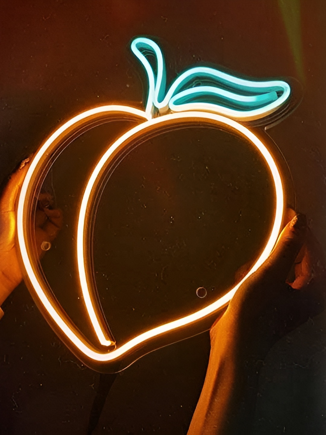 

Neon signs india Orange Coloured & Green Peach LED String Light