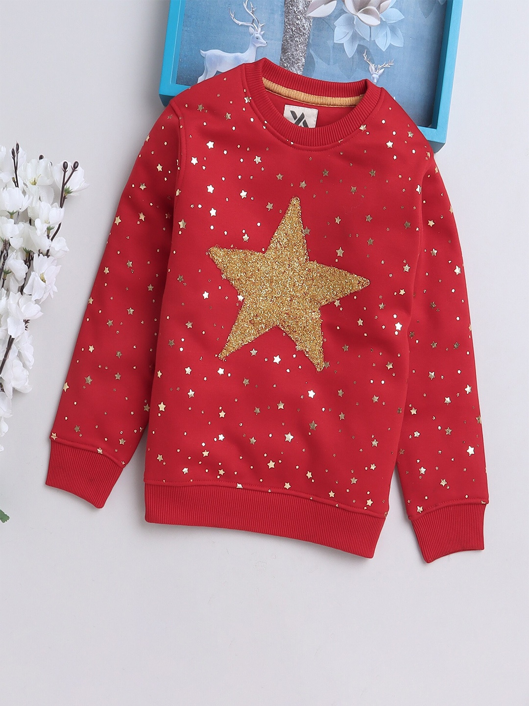 

Yellow Apple Girls Graphic Printed Woollen Pullover Sweatshirt, Red