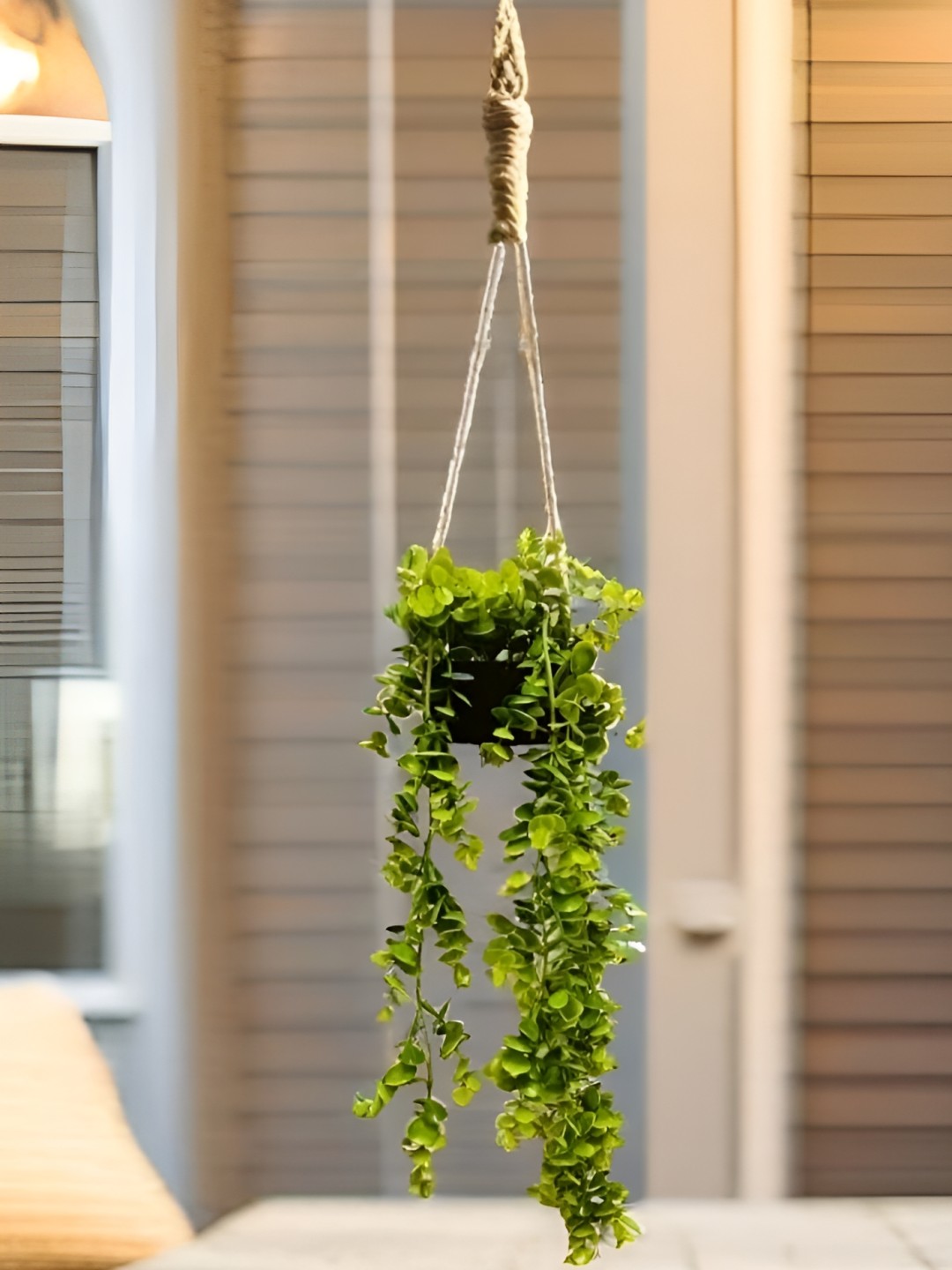

Akaar Green 10 Pieces Hanging Eucalyptus Artificial Plant With Pot