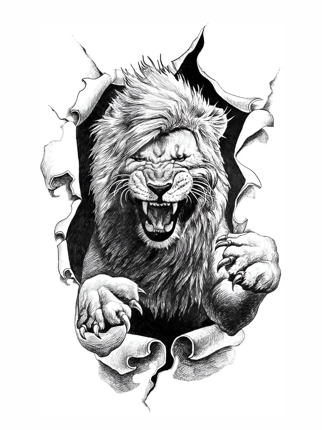

Wallpics Black & Grey Lion Printed Water Resistant Wall Sticker