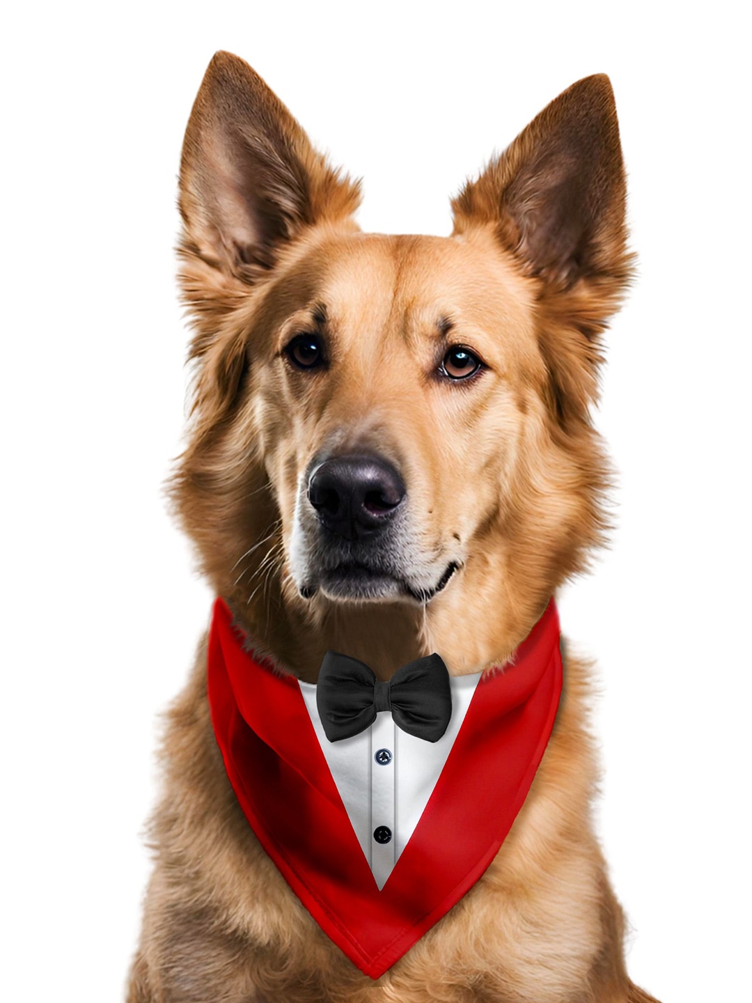 

Pawsindia Printed Cotton Tuxedo Pet Bandanas, Red