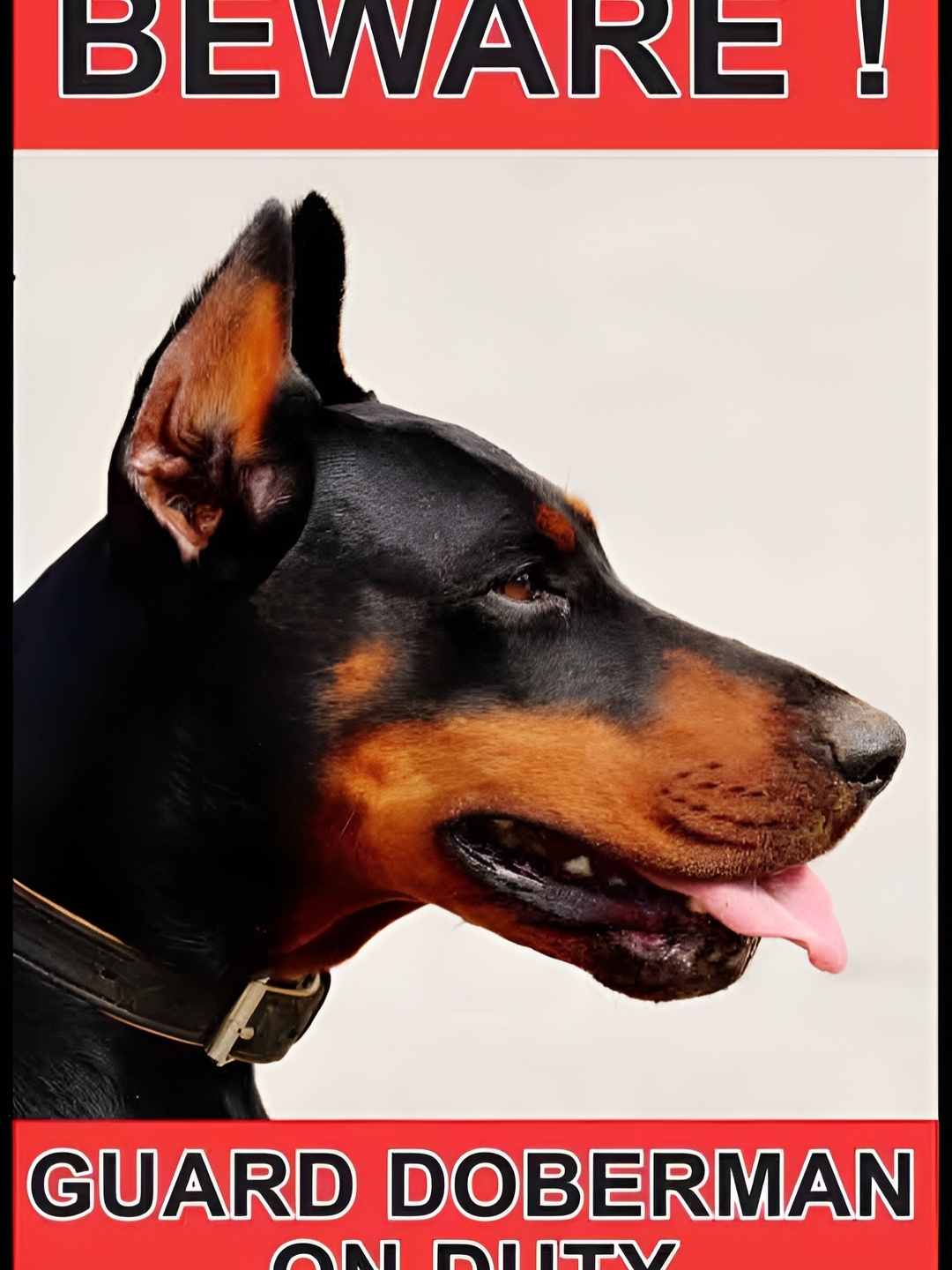 

Wallpics Black & Brown Dog Beware Wall Poster