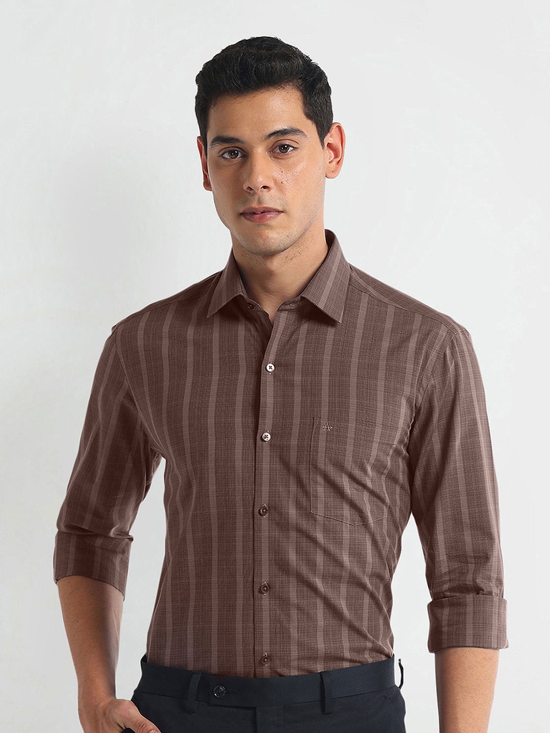 

Arrow Spread Collar Slim Fit Opaque Striped Cotton Formal Shirt, Brown