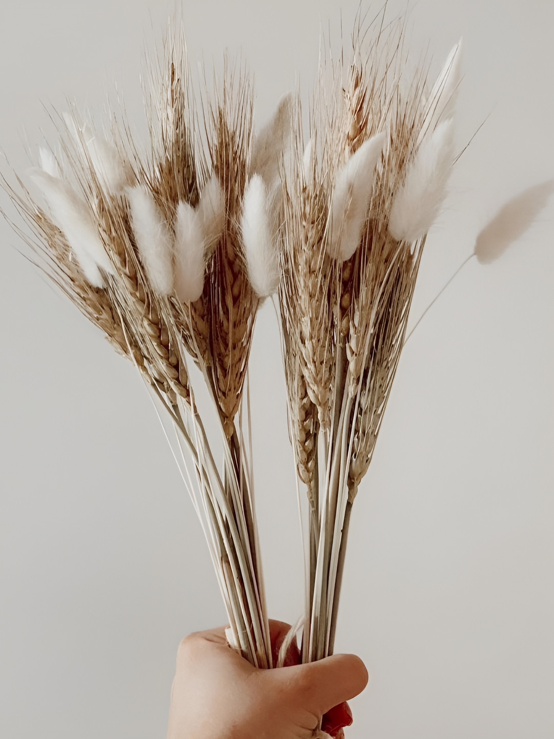 

ArteCasa Dried Flower Farmhouse Bunch, Beige