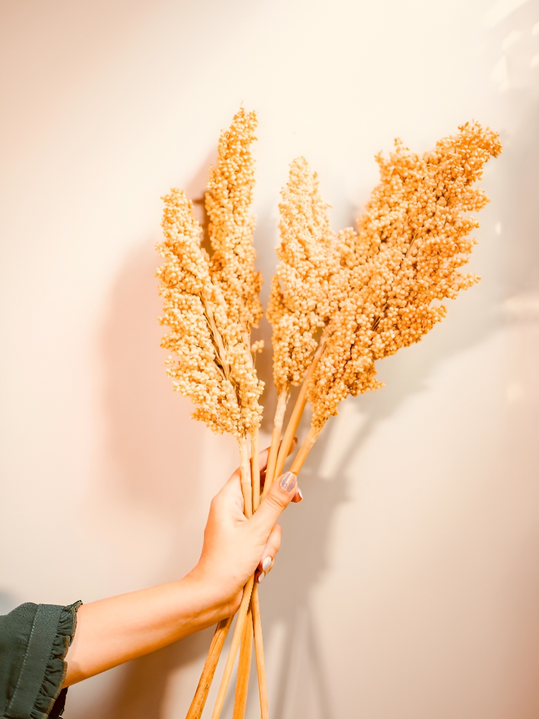 

ArteCasa Naturally Dried Corn Bunch, Beige