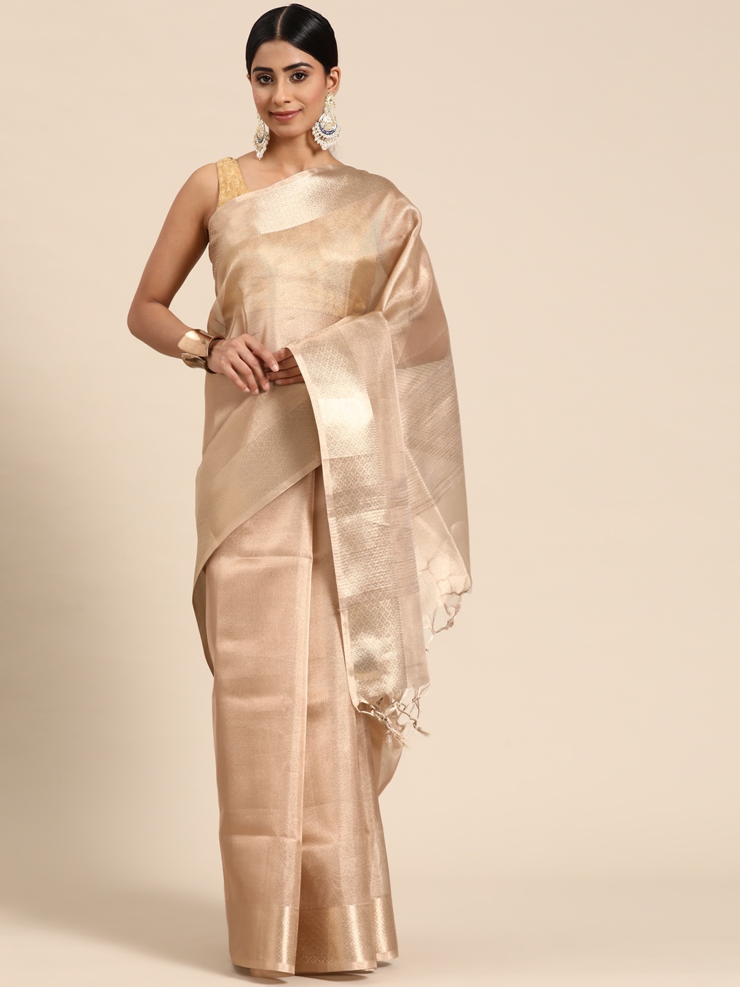 

Sayisha Woven Design Zari Tissue Saree, Brown