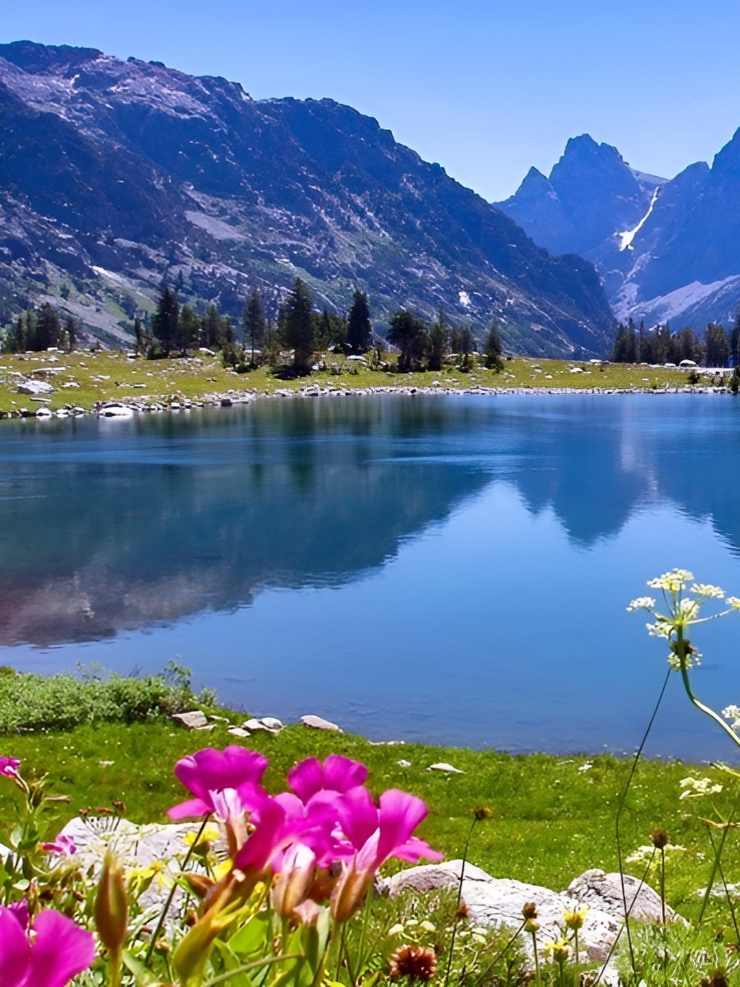 

Wallpics Blue & Green Nature Printed Wall Poster