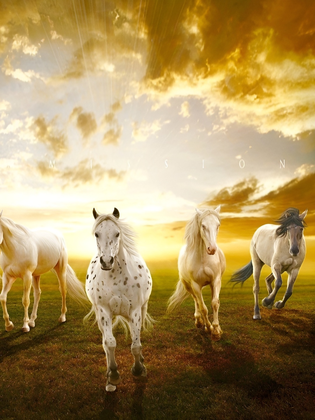 

Wallpics Yellow & White Birds And Animals Paper Wall Poster