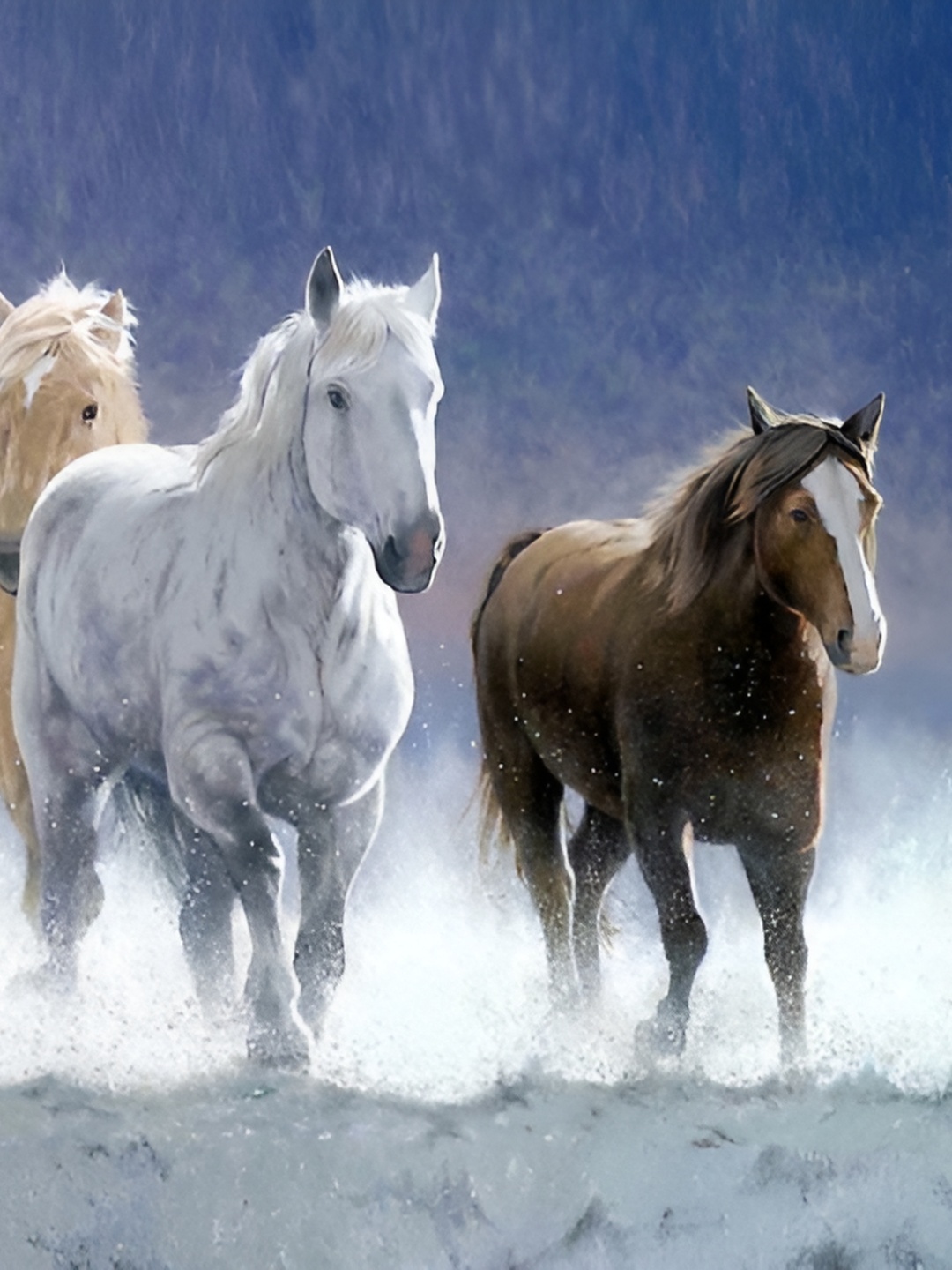 

Wallpics Blue & White Running Horses Wall Poster