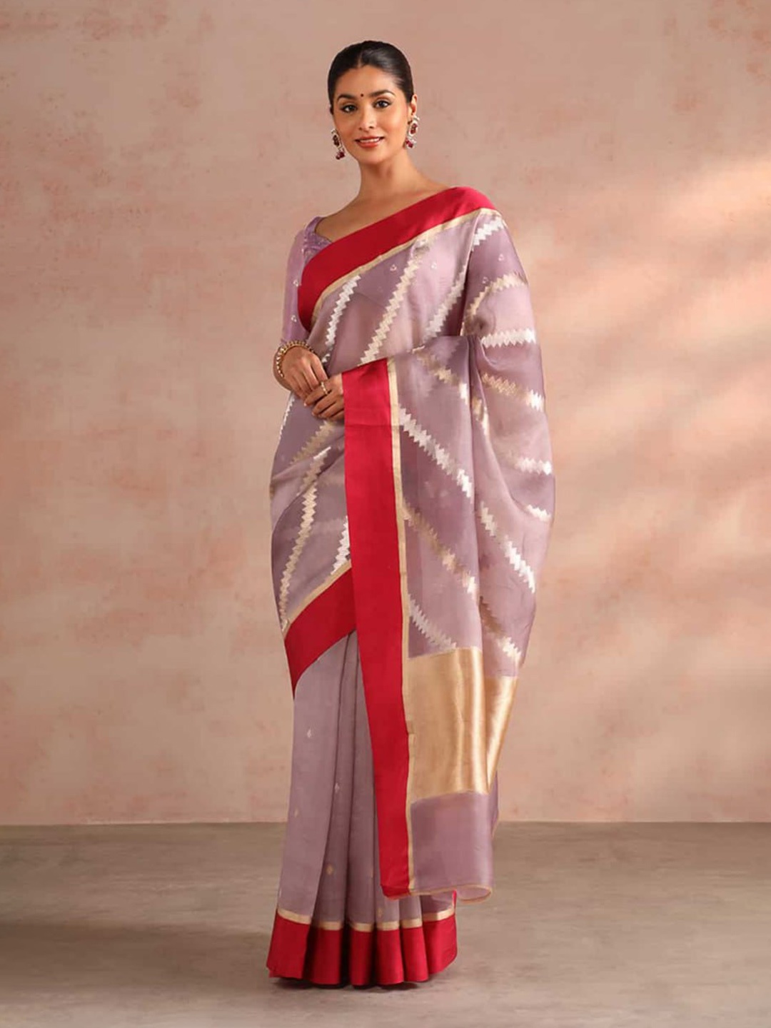 

SHIJILA Striped Zari Pure Silk Half and Half Kanjeevaram Saree, Purple