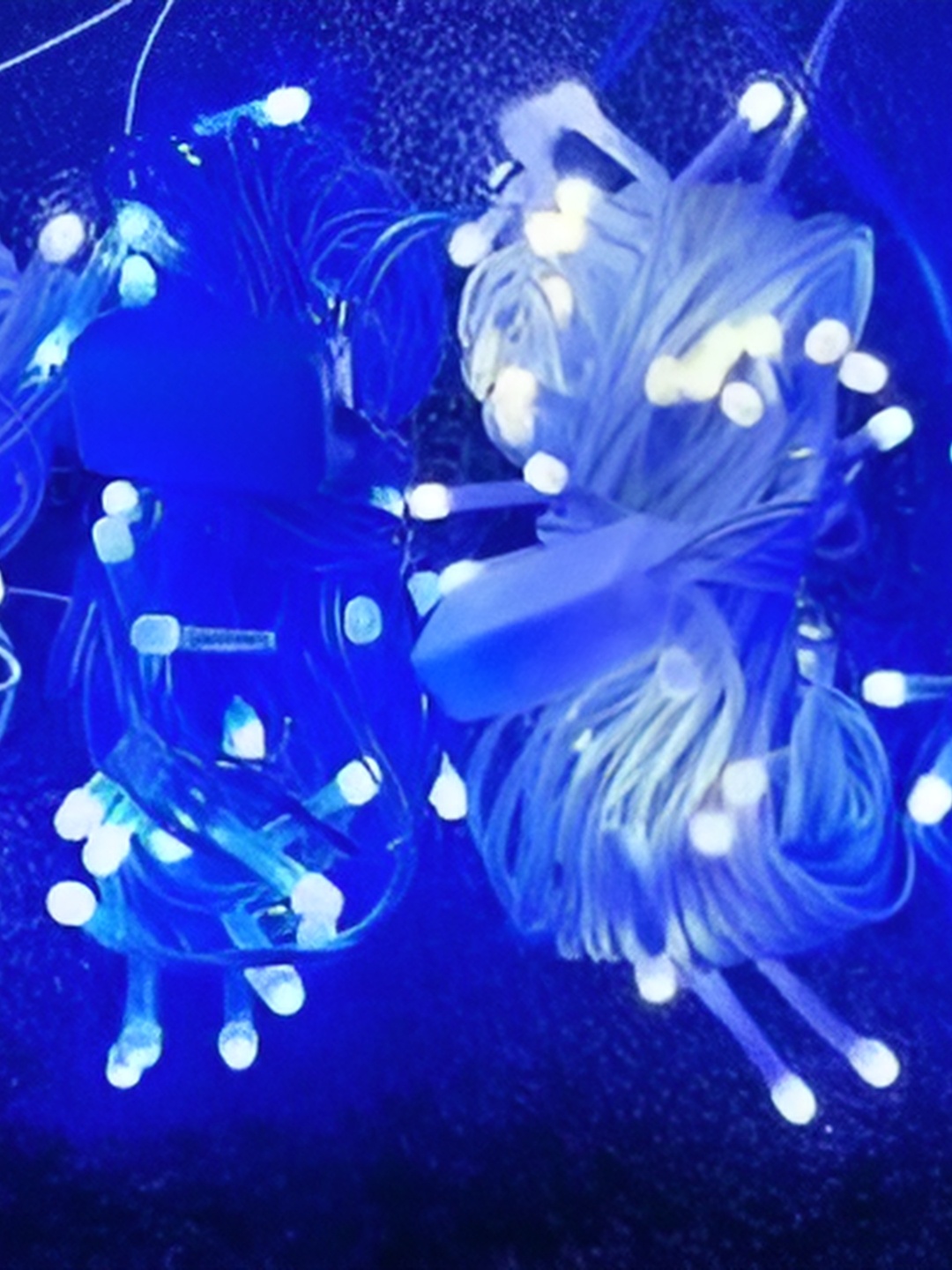 

Pixofeet Blue & White 4 Pcs LED String Lights