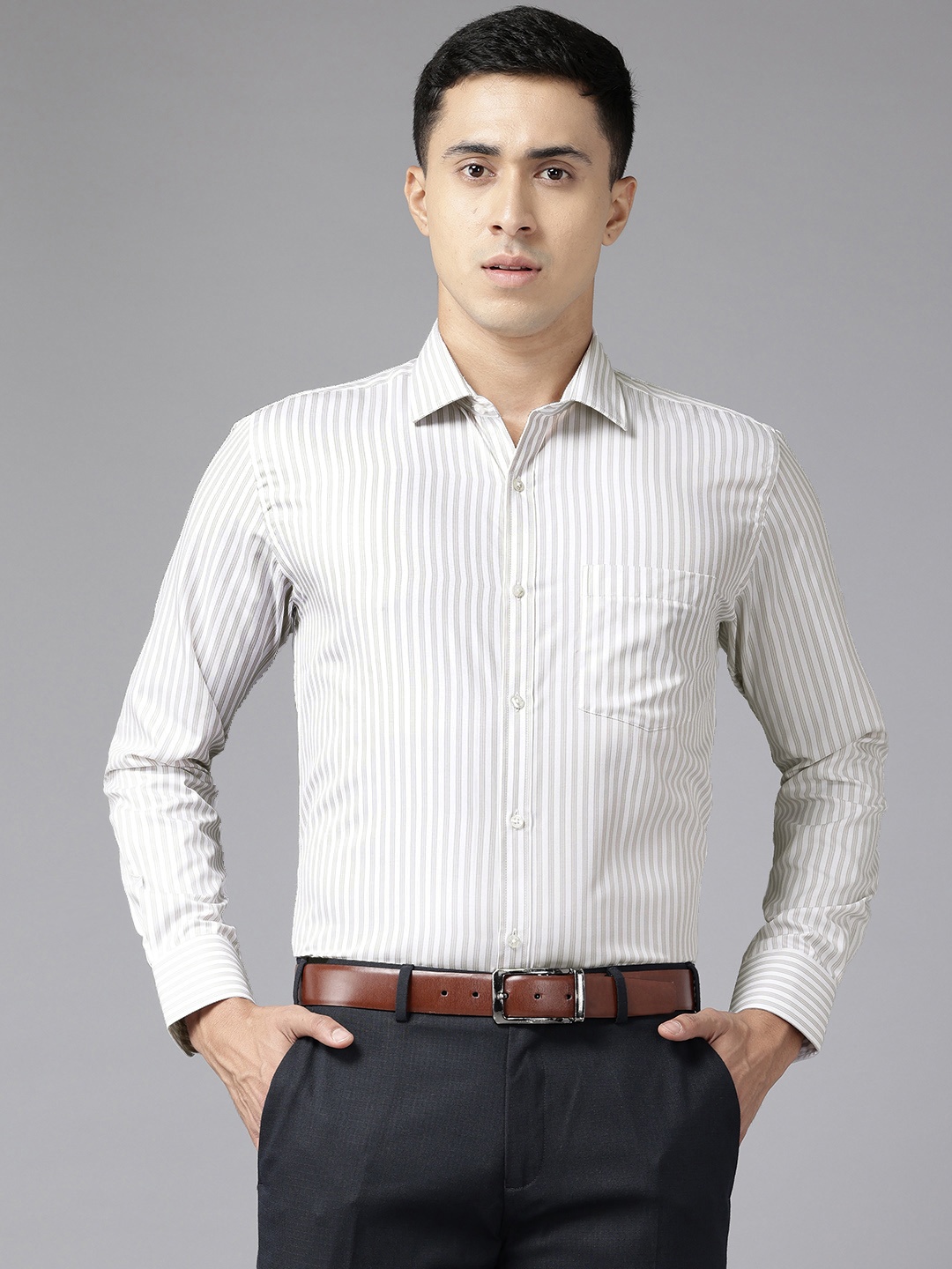 

Park Avenue Slim Fit Striped Formal Shirt, Grey