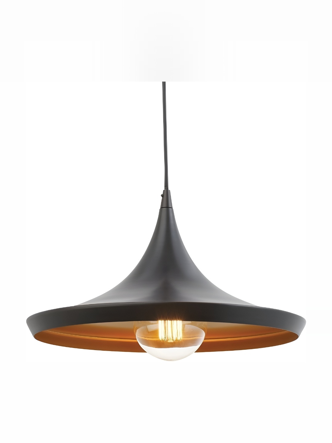 

Whiteray Black & Gold Toned Iron Contemporary Ceiling Lamp