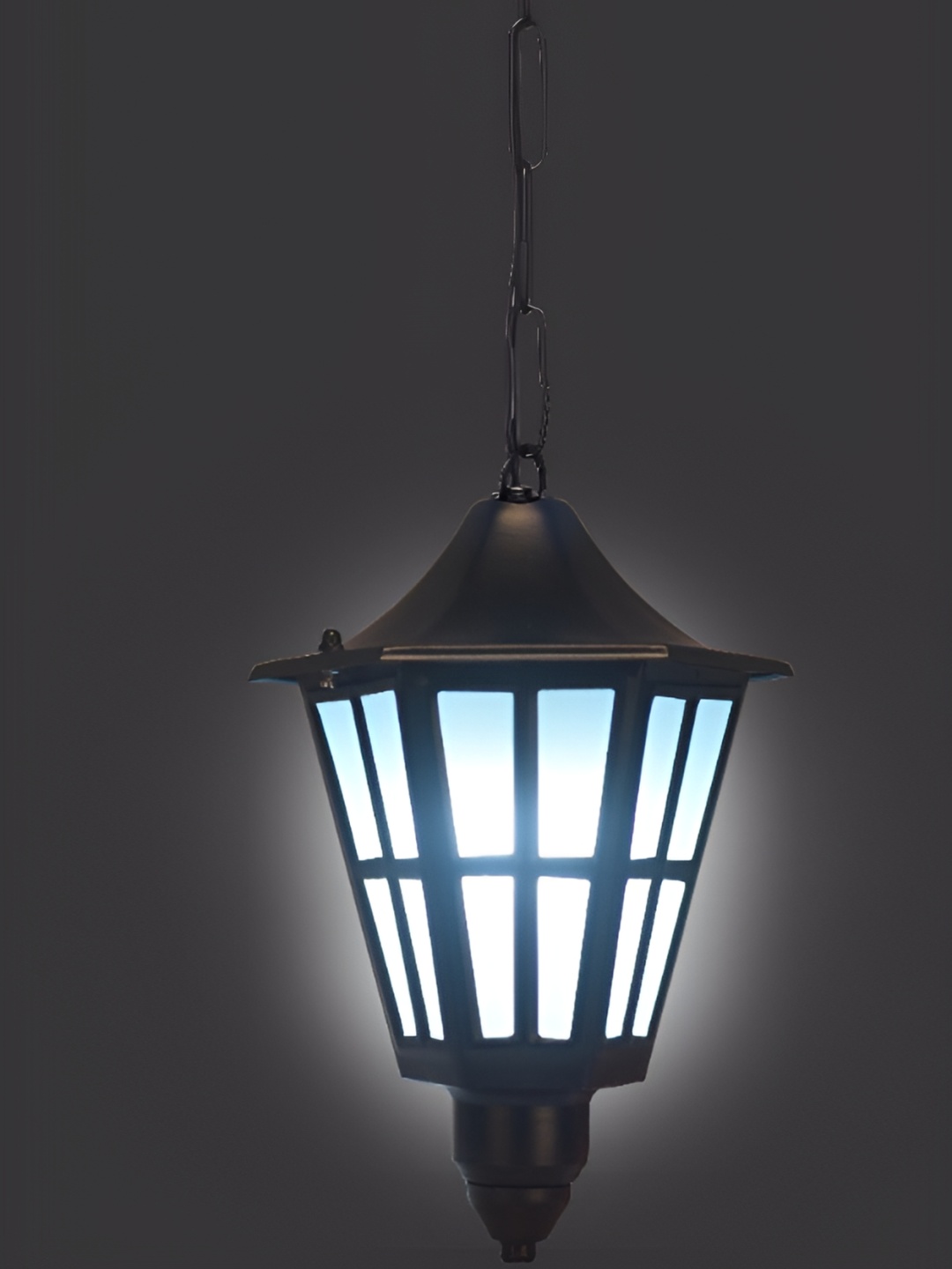 

Whiteray Black Traditional Abstract Shaped Ceiling Lamp
