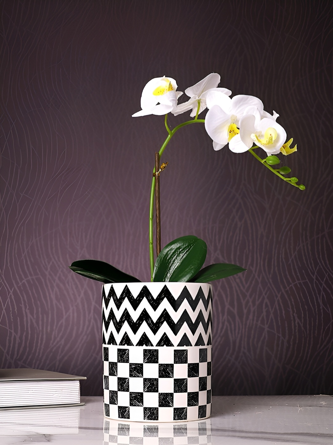 

TAYHAA Black & White Printed Ceramic Planter