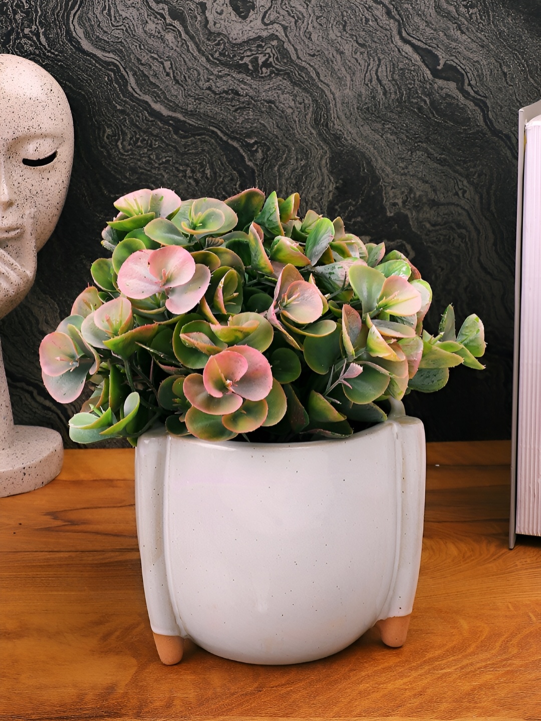 

TAYHAA White Textured Ceramic Planter
