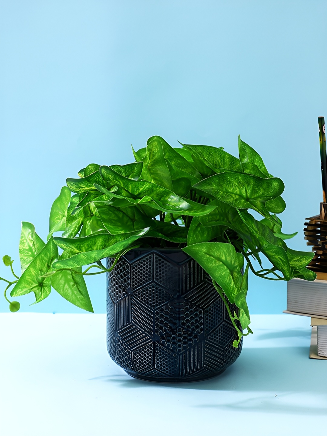 

TAYHAA Printed Ceramic Planter, Blue