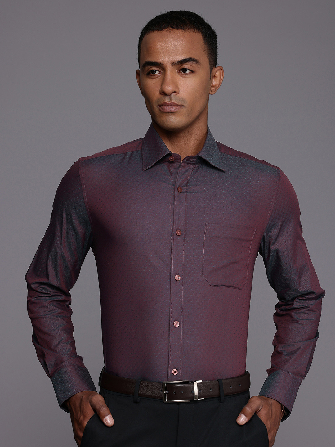 

Louis Philippe Pure Cotton Self Design Classic Fit Opaque Formal Shirt, Purple