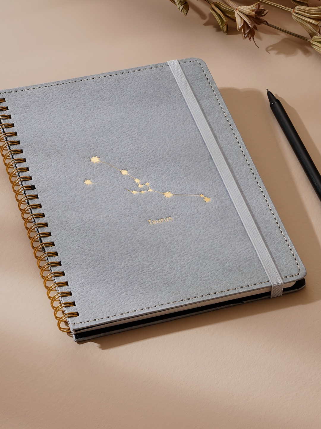 

Home Centre Corsica Zodiac Taurus A5 Notebook, Grey