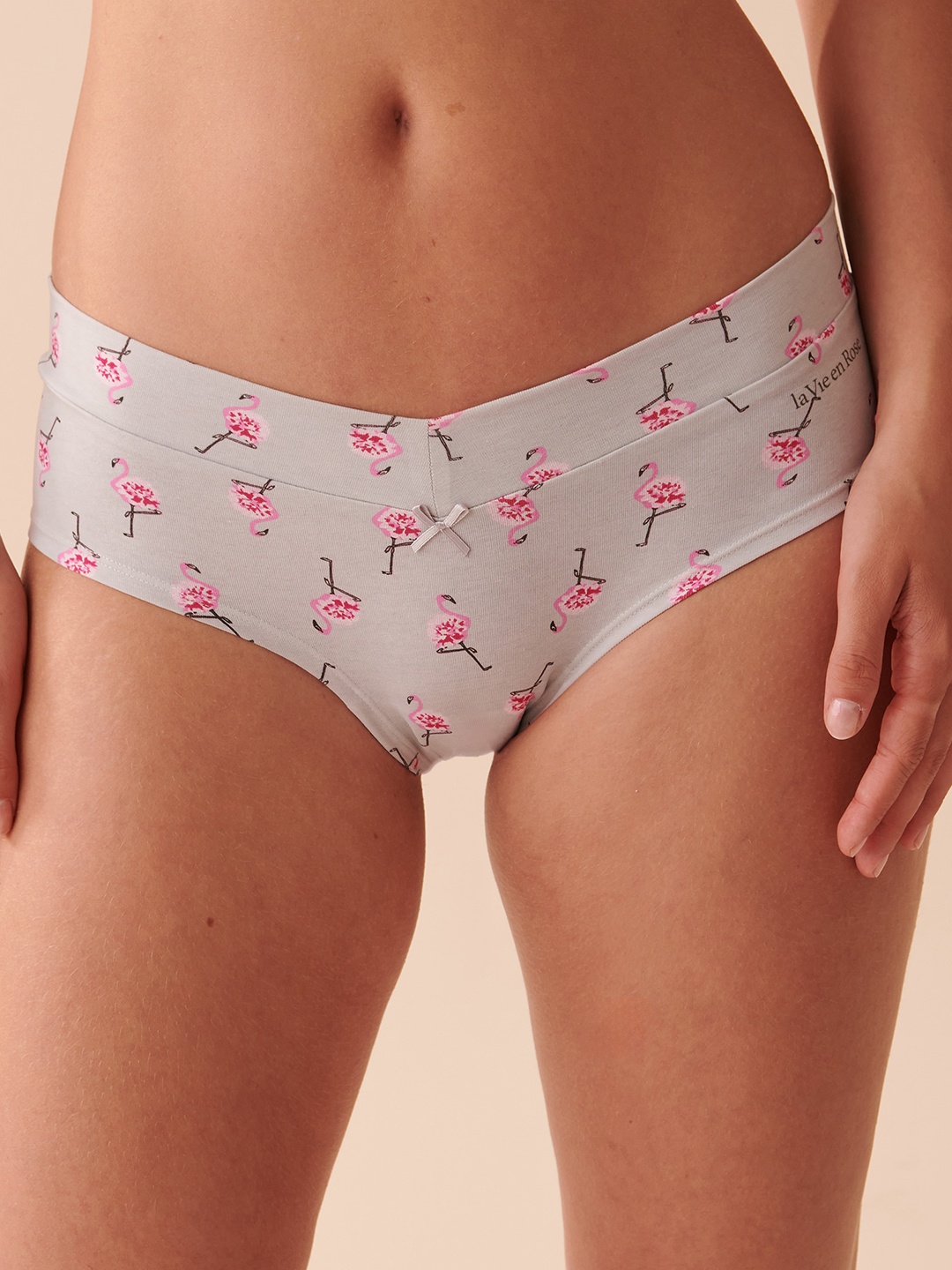 

La Vie en Rose Mid-Rise Floral Printed Hipster Briefs, Grey