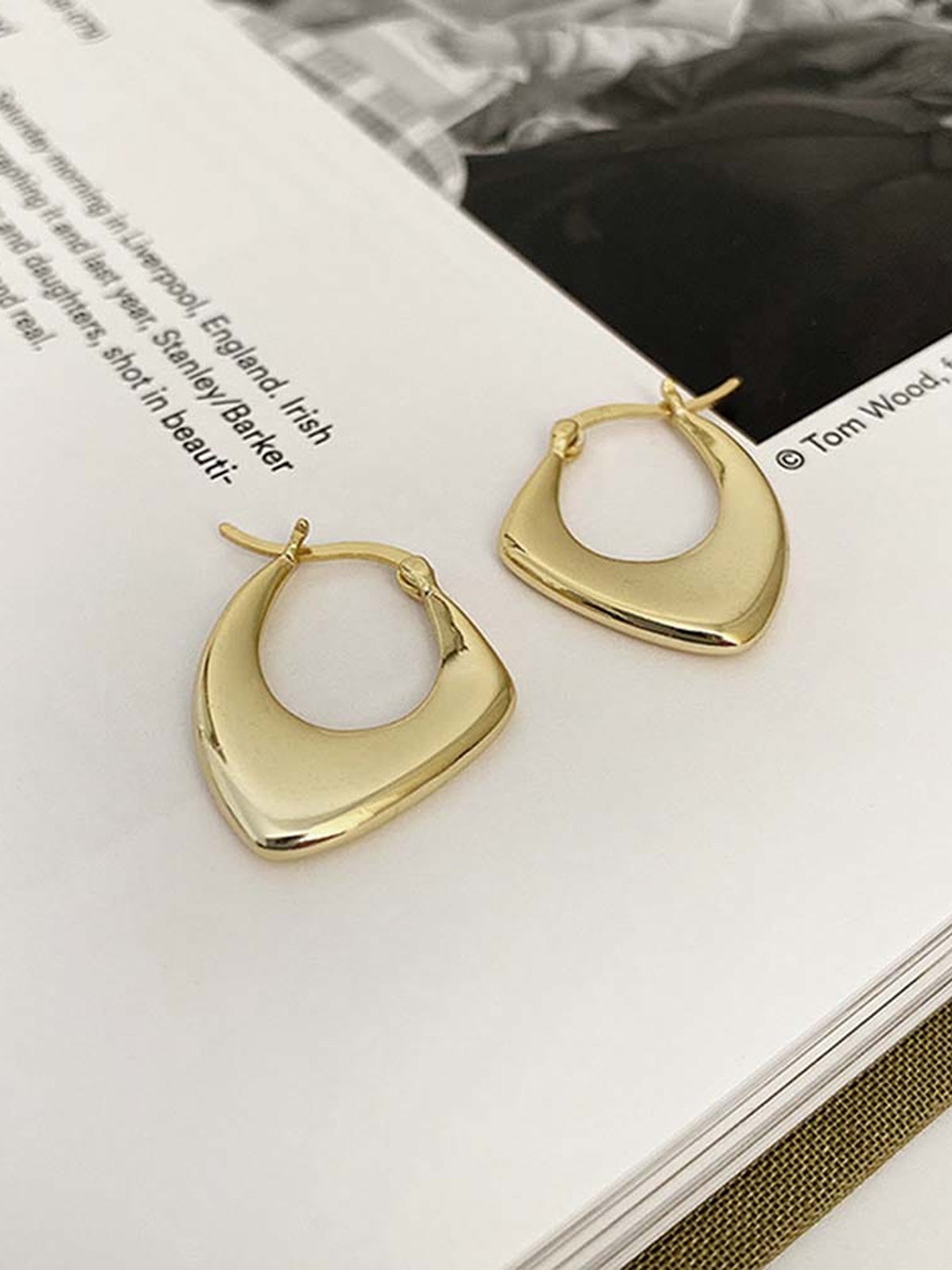 

KRYSTALZ Stainless Steel Gold Plated Hoop Earrings