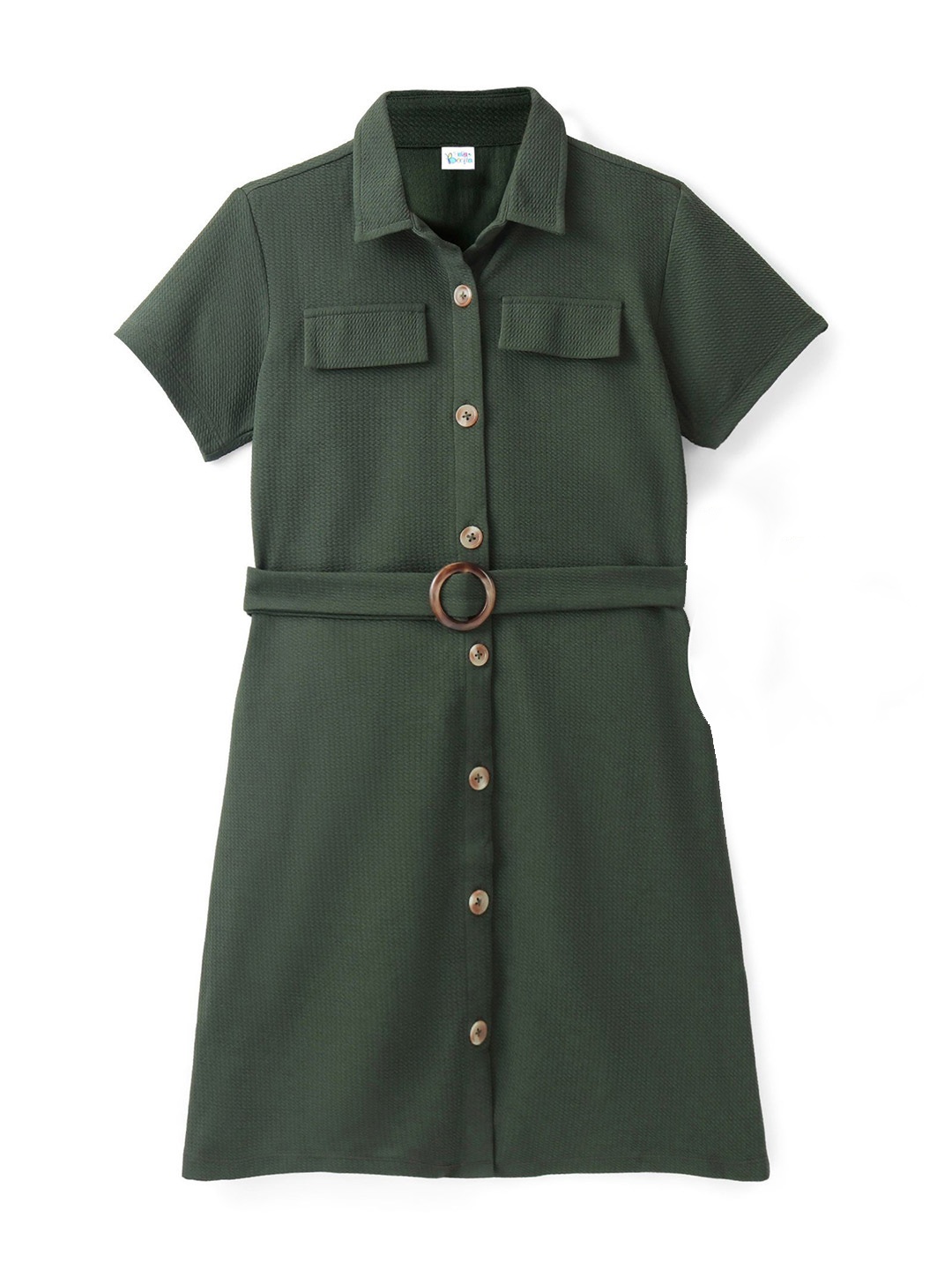 

Hola Bonita Self design Shirt Dress With Belt, Olive