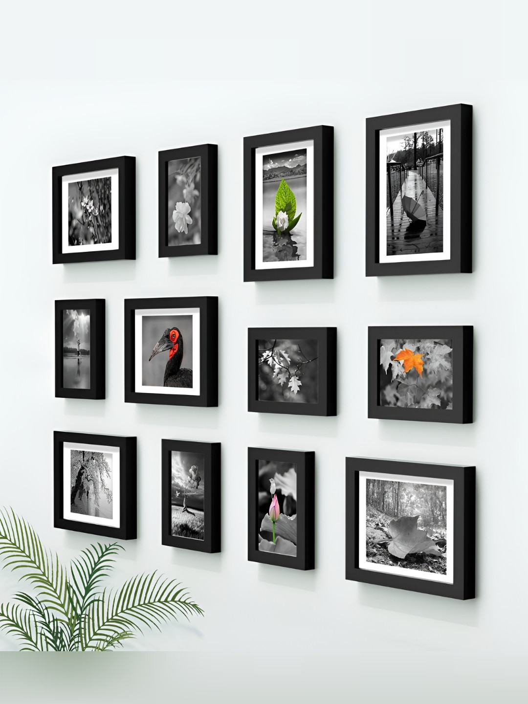 

Stuthi Arts Black 12 Pieces Wooden Wall Photo Frames