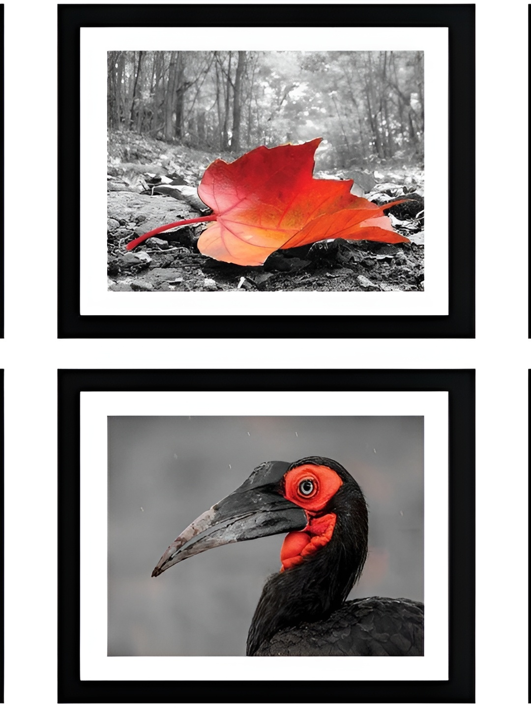 

Stuthi Arts Black 6 Pieces Wooden Wall Photo Frames
