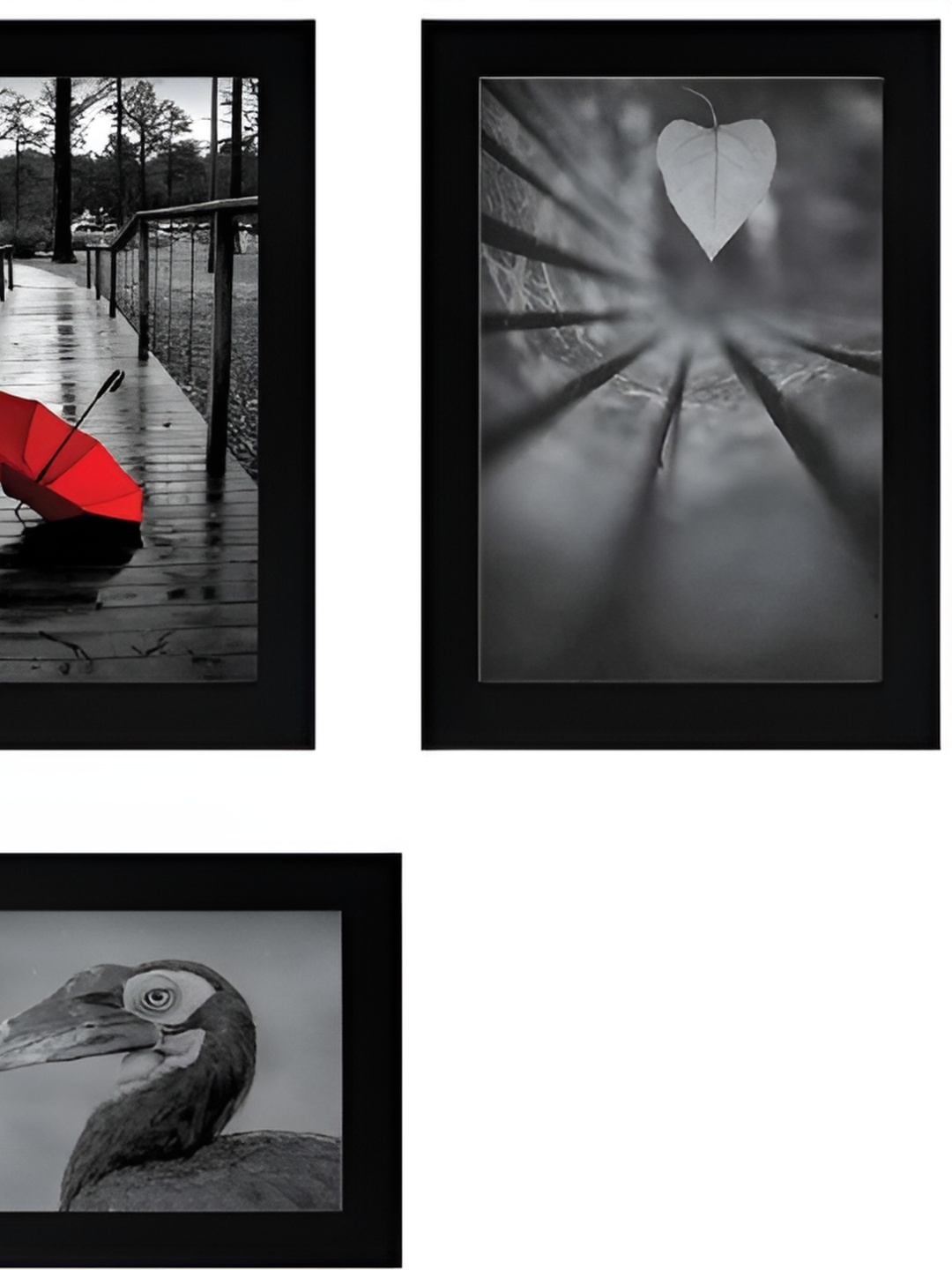 

Stuthi Arts Black 6 Pieces Wooden Wall Photo Frames